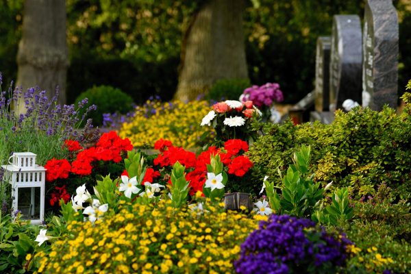graham-bayes-mid-coast-funerals-port-macquarie-1